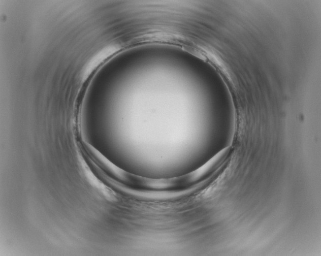 X0000089361042200706151128
