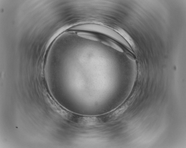 X0000089361052200706151129