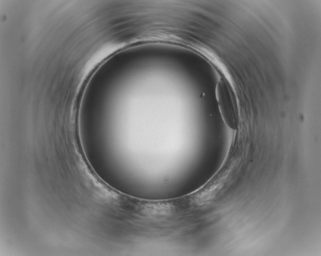 X0000089361053200706151129