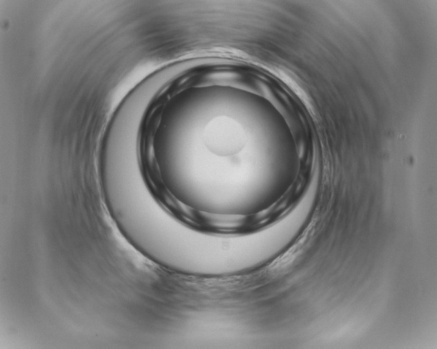 X0000089361054200706151129