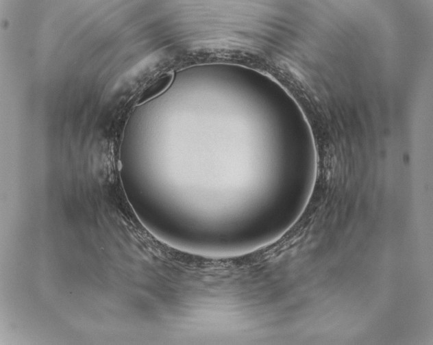 X0000089361062200706151128