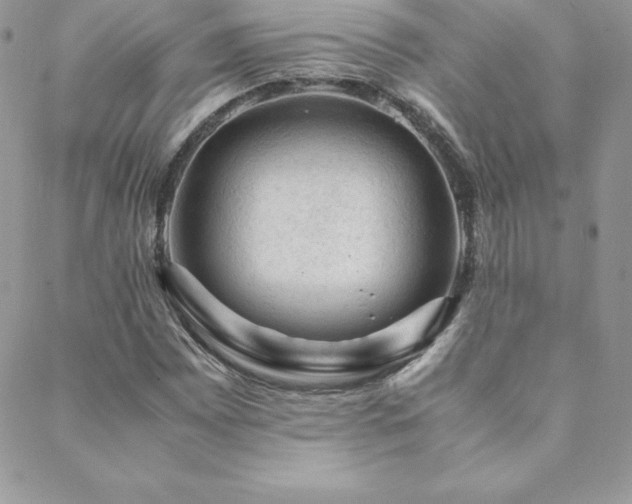 X0000089361065200706151128