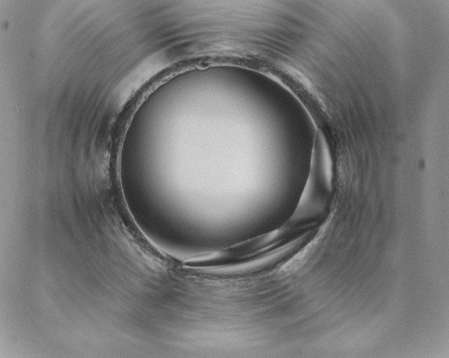 X0000089361066200706151128
