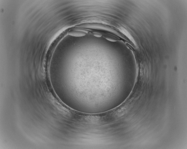 X0000089361068200706151128