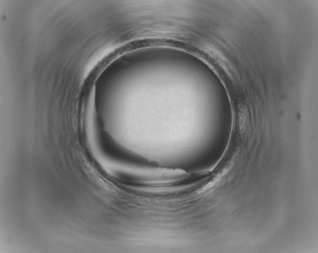 X0000089361069200706151128