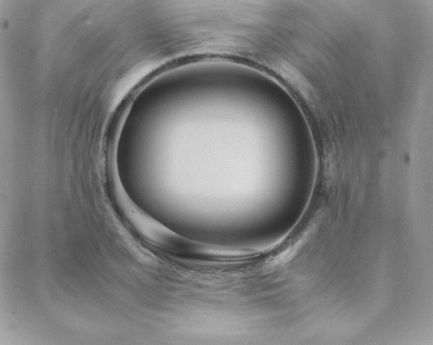 X0000089361077200706151128