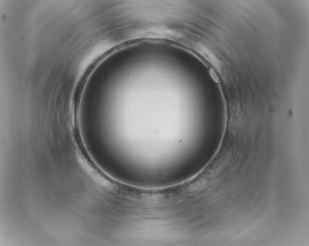 X0000089361080200706151127