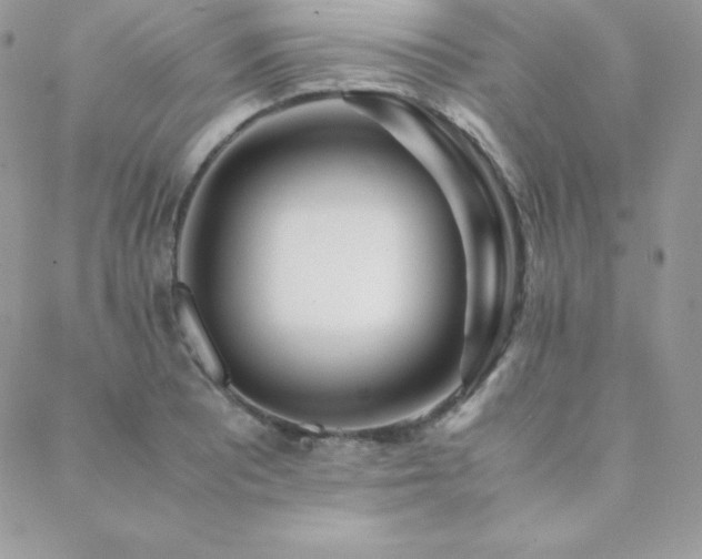 X0000089361081200706151127
