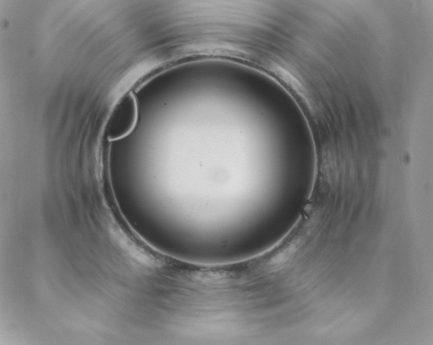 X0000089361082200706151127