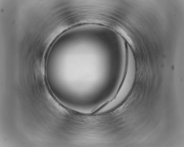 X0000089361084200706151127
