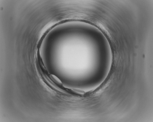 X0000089361085200706151127