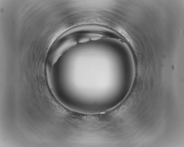 X0000089361089200706151127