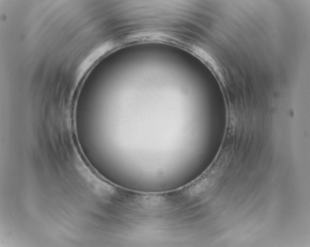X0000089361090200706151127