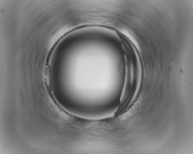 X0000089361093200706151127