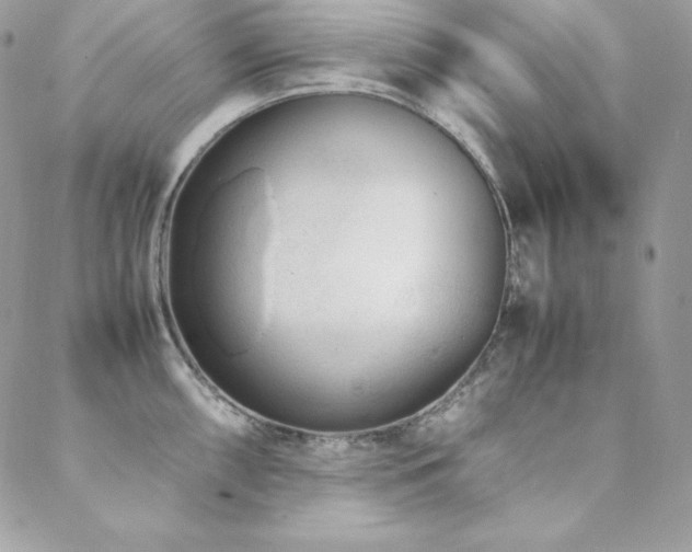 X0000089361098200706151127