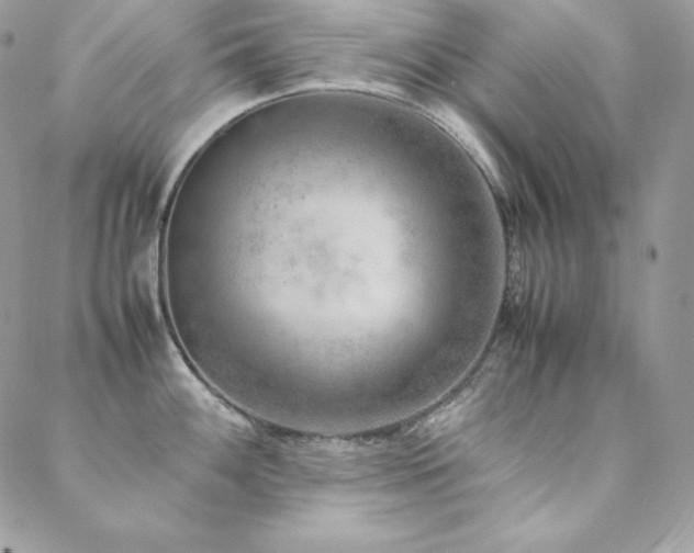 X0000089361100200706151127