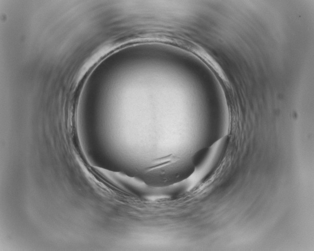 X0000089361101200706151127