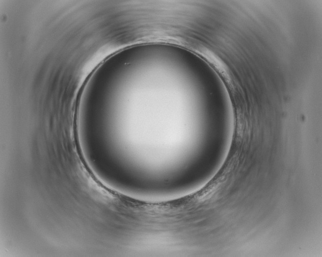 X0000089361102200706151127