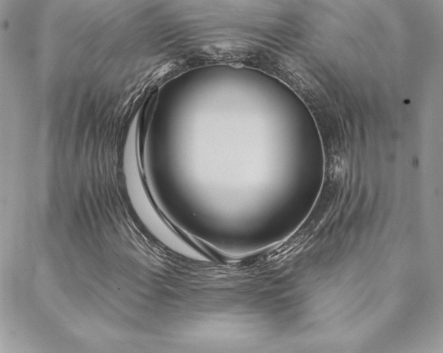 X0000089361108200706151126
