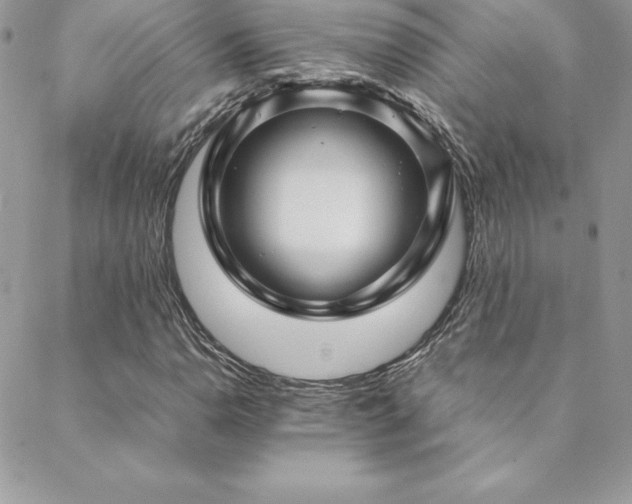X0000089361110200706151126