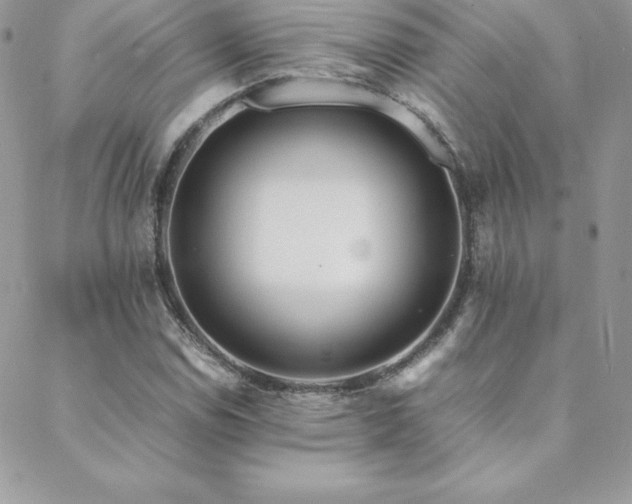 X0000089361114200706151126