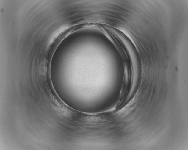 X0000089361115200706151126