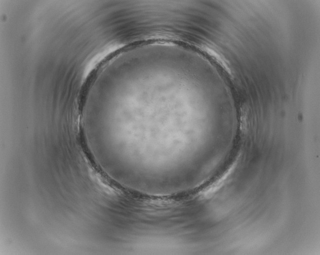 X0000089361117200706151127