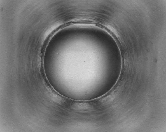 X0000089361119200706151127