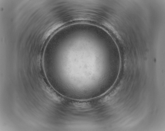 X0000089361121200706151127