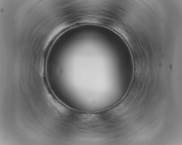 X0000089361131200706151127