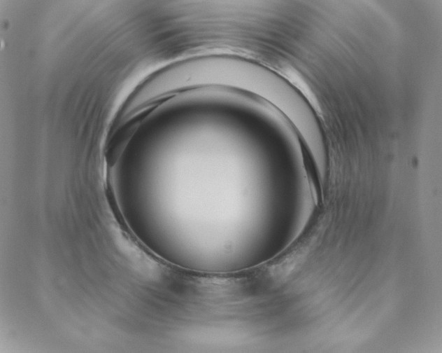 X0000089361132200706151127
