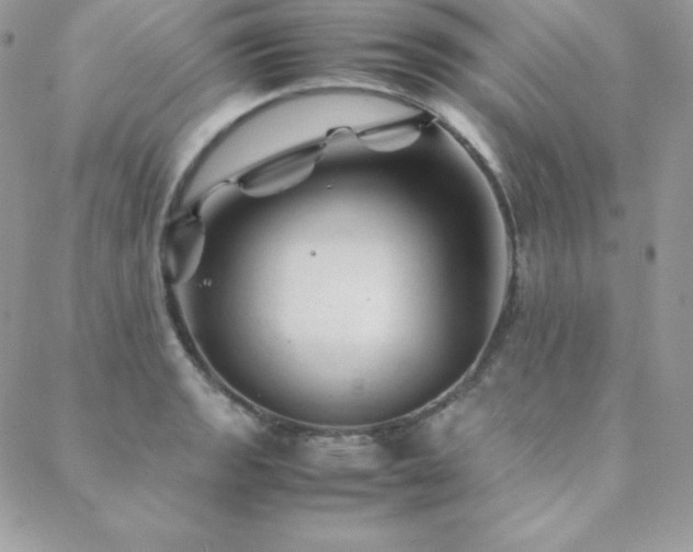 X0000089361133200706151127