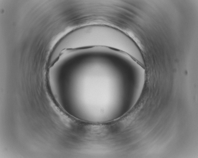 X0000089361134200706151127
