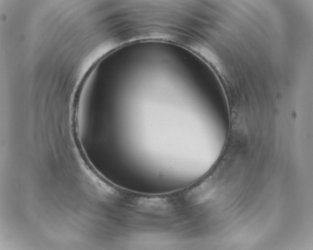 X0000089361135200706151127