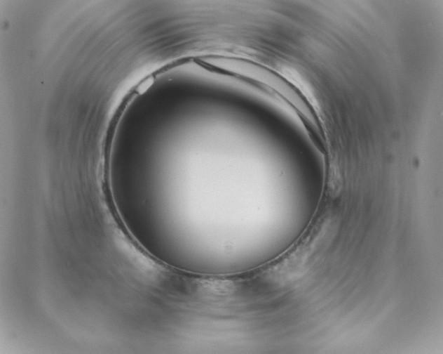 X0000089361136200706151127