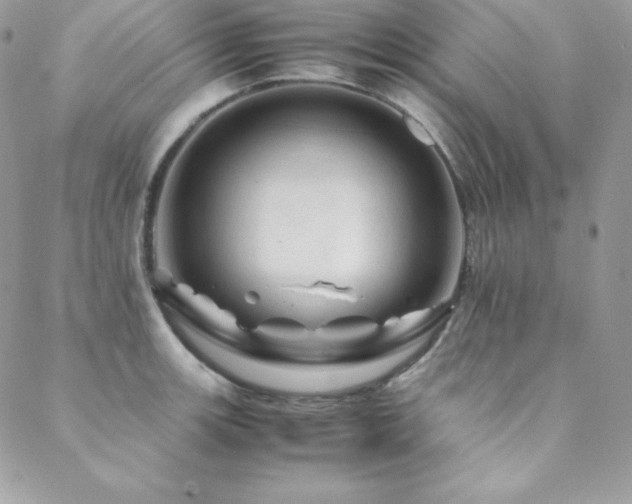 X0000089361139200706151127