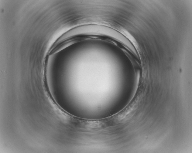 X0000089361144200706151127