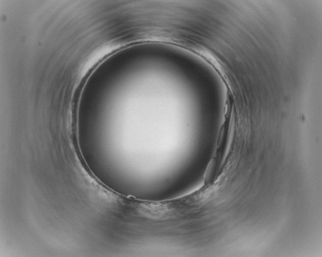 X0000089361147200706151127