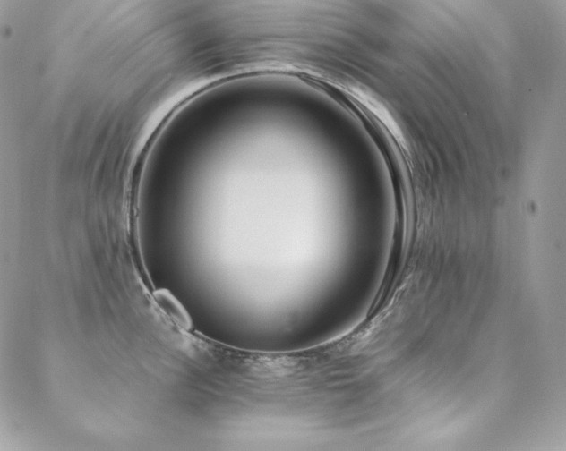 X0000089361148200706151127