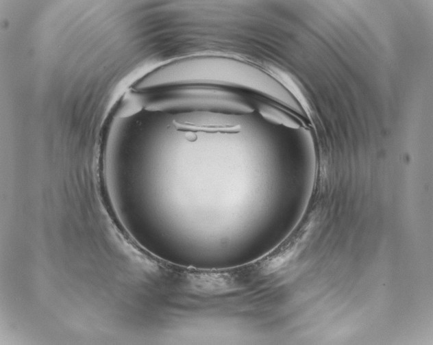 X0000089361149200706151127