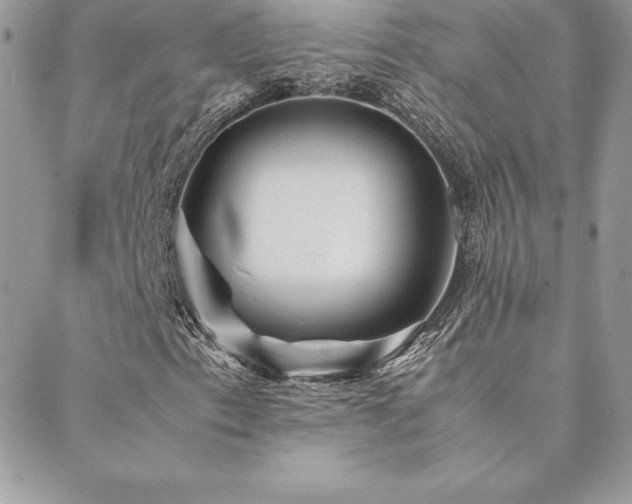 X0000089361153200706151126