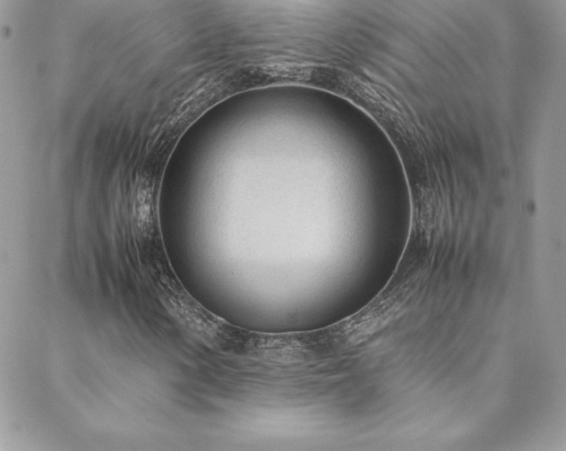X0000089361154200706151126