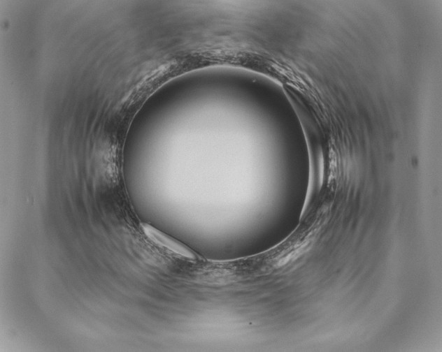 X0000089361156200706151126