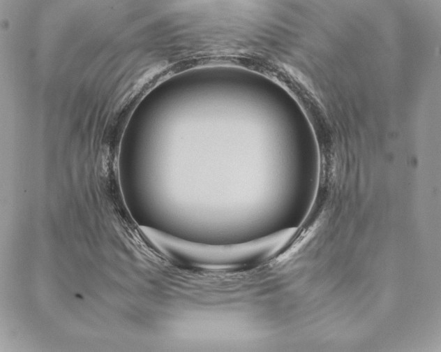 X0000089361161200706151126