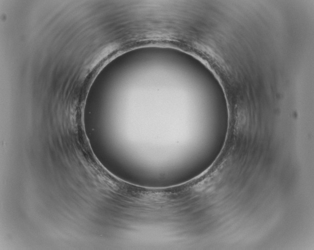 X0000089361162200706151126