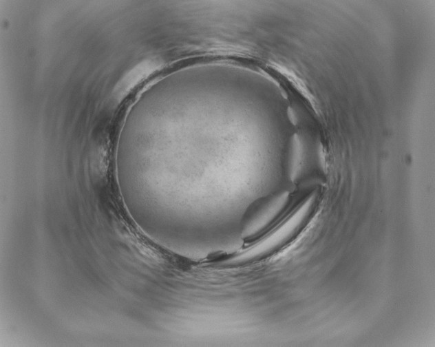X0000089361163200706151126