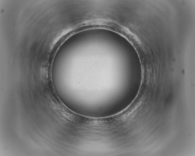 X0000089361166200706151126
