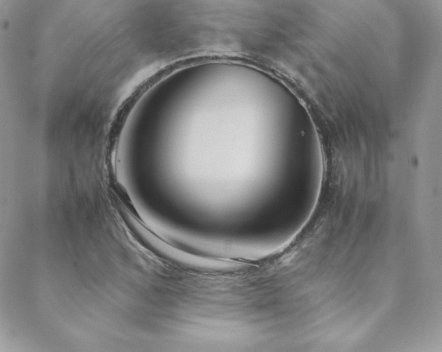 X0000089361168200706151126