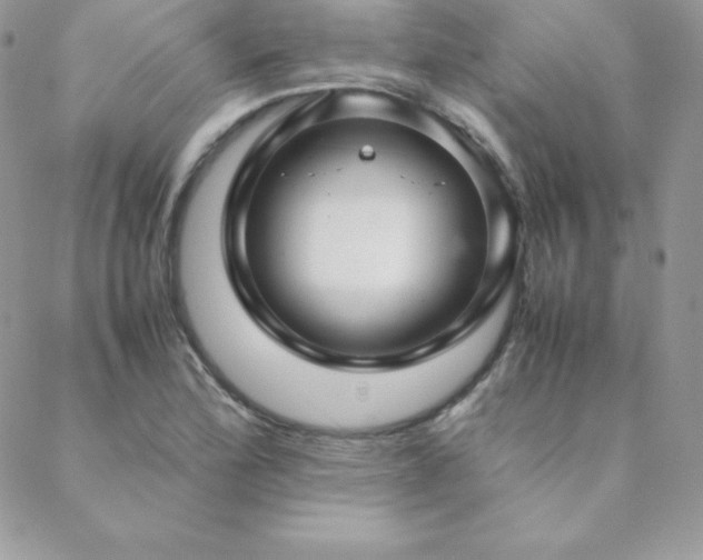X0000089361172200706151126