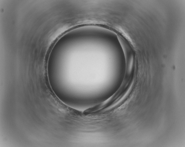 X0000089361173200706151126